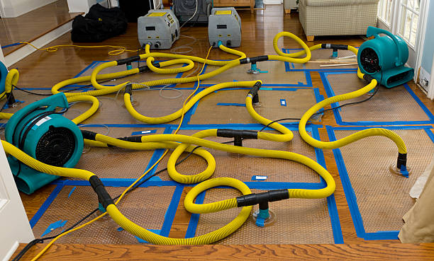Professional Crawl Space Water Removal technician working in North Haverhill, NH